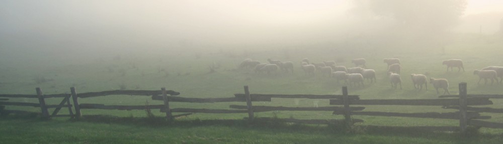 This Is My Morning/words & pictures by Montana Jones